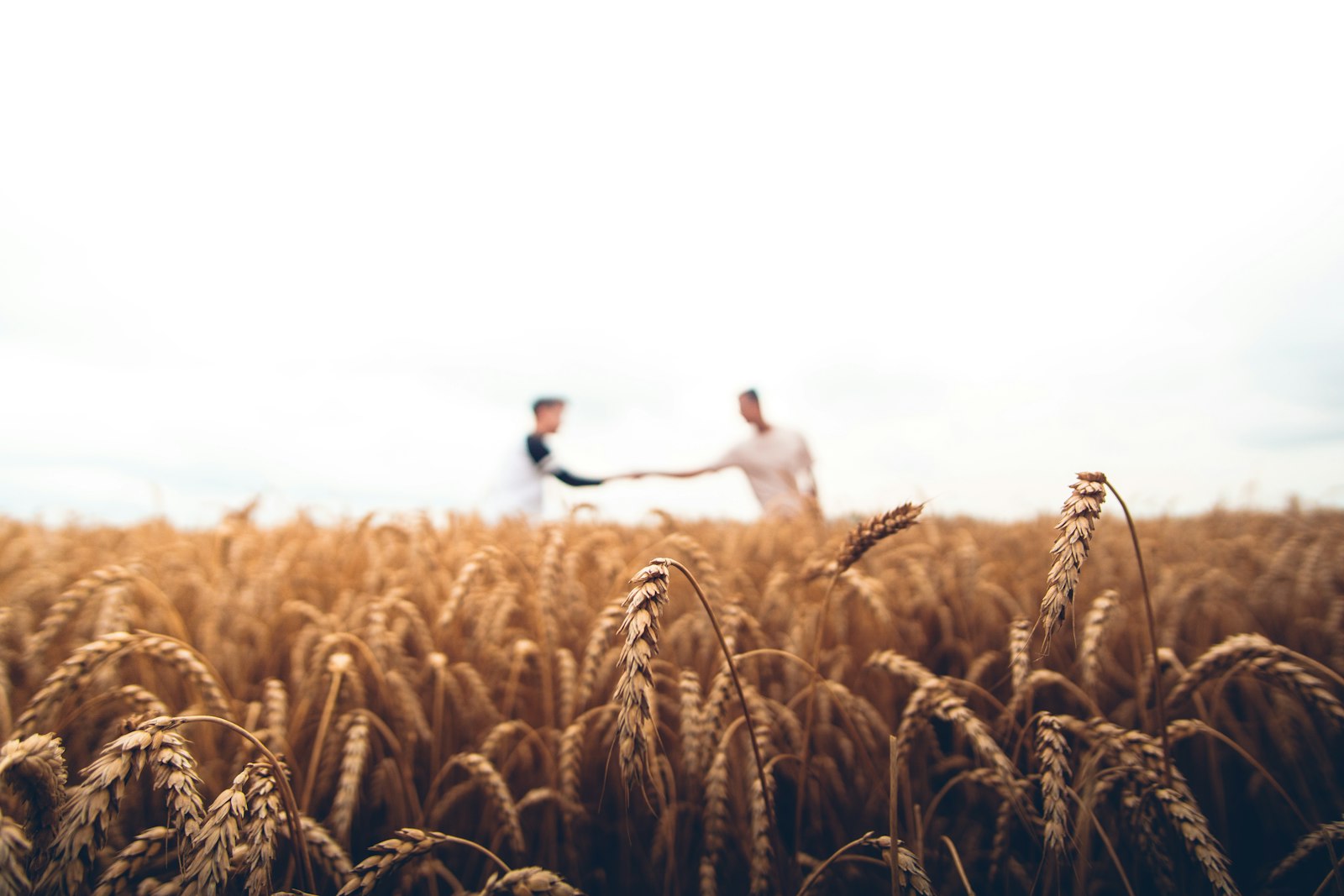 Agriculture & Agritech