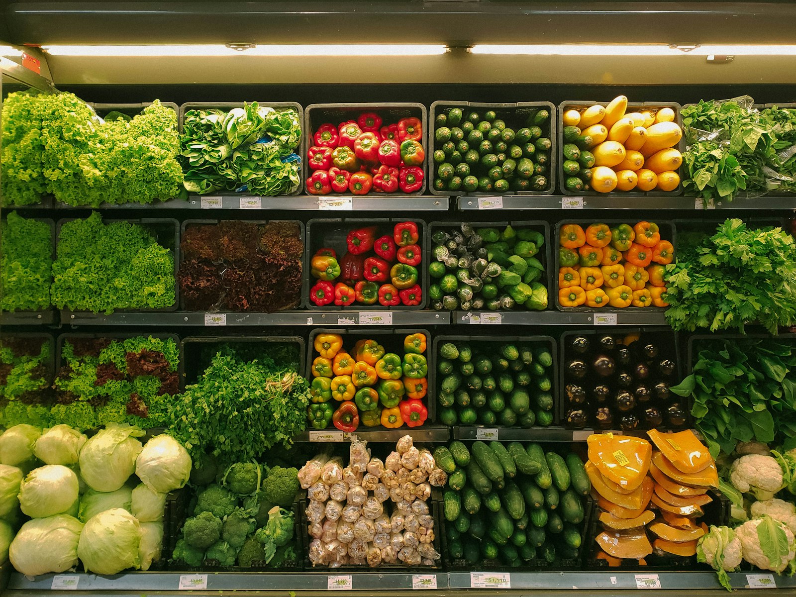 Consumer Goods (FMCG)